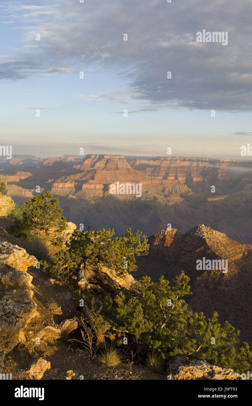 The USA,Arizona,Grand canyon,South Rim Stock Photo - Alamy