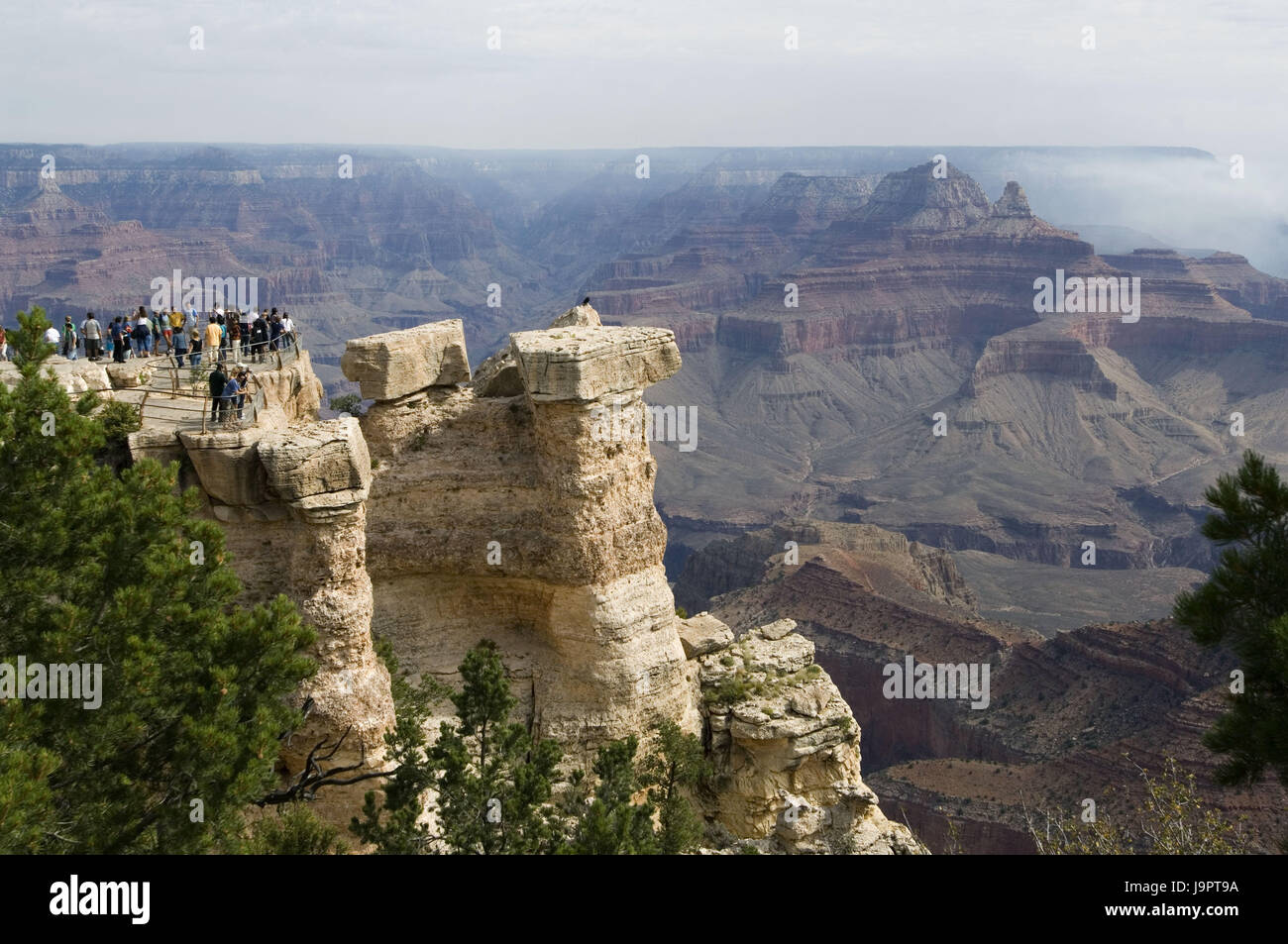 The USA,Arizona,Grand canyon,South Rim Stock Photo - Alamy
