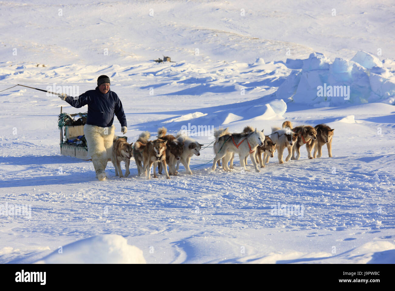 Greenland,Qaanaaq,man,Inuit,sled dog's motorcycle combination,state Stock  Photo - Alamy