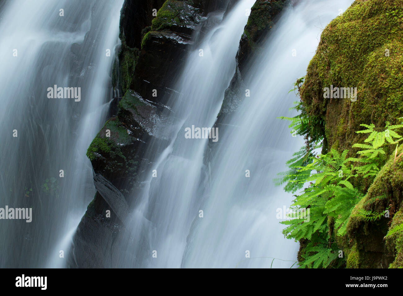 Majestic Falls, McDowell Creek Falls County Park, Linn County, Oregon