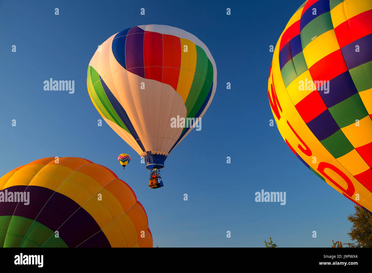 Hot air balloon, Northwest Art and Air Festival, Timber Linn Park