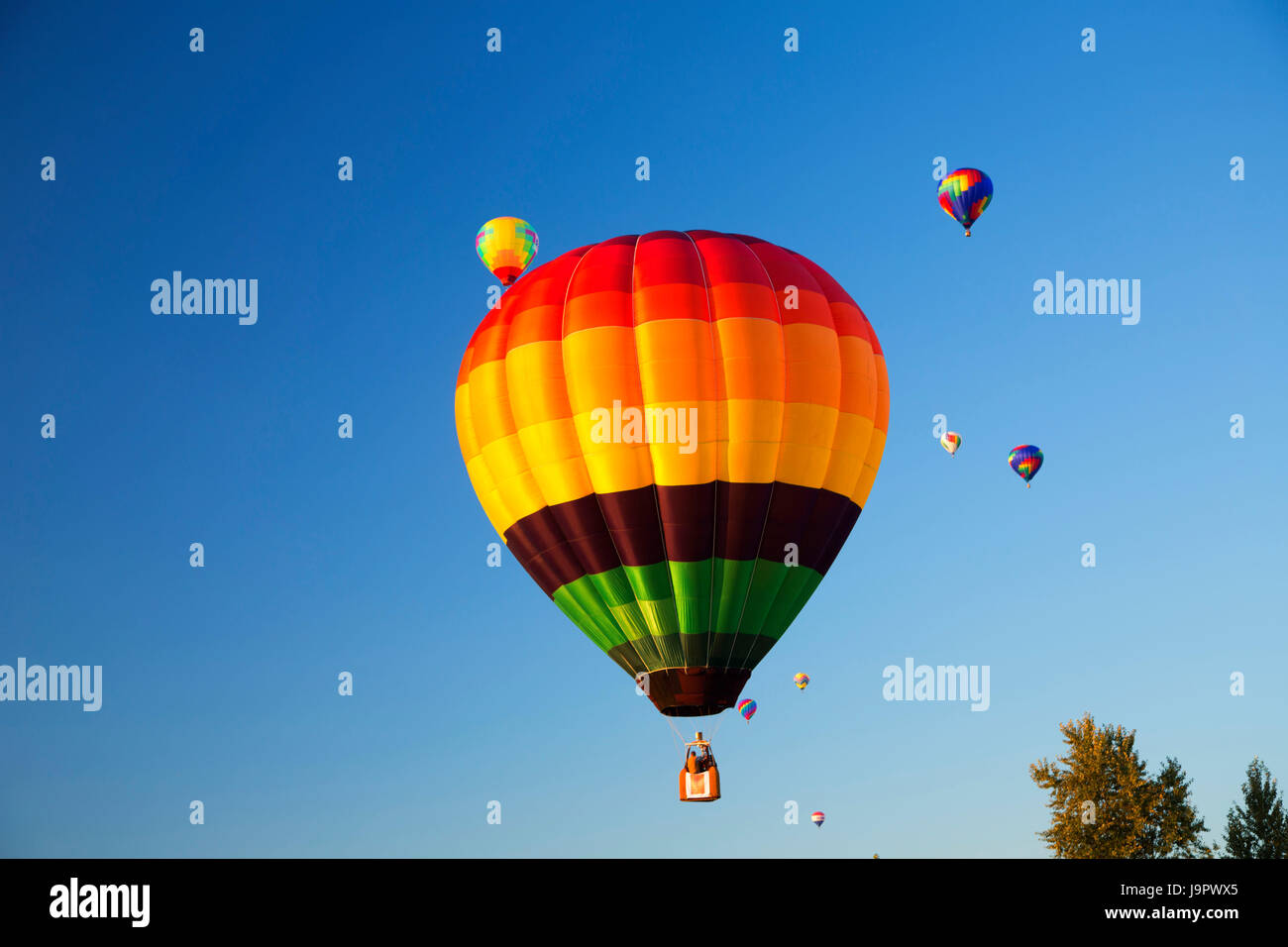 Hot air balloon, Northwest Art and Air Festival, Timber Linn Park