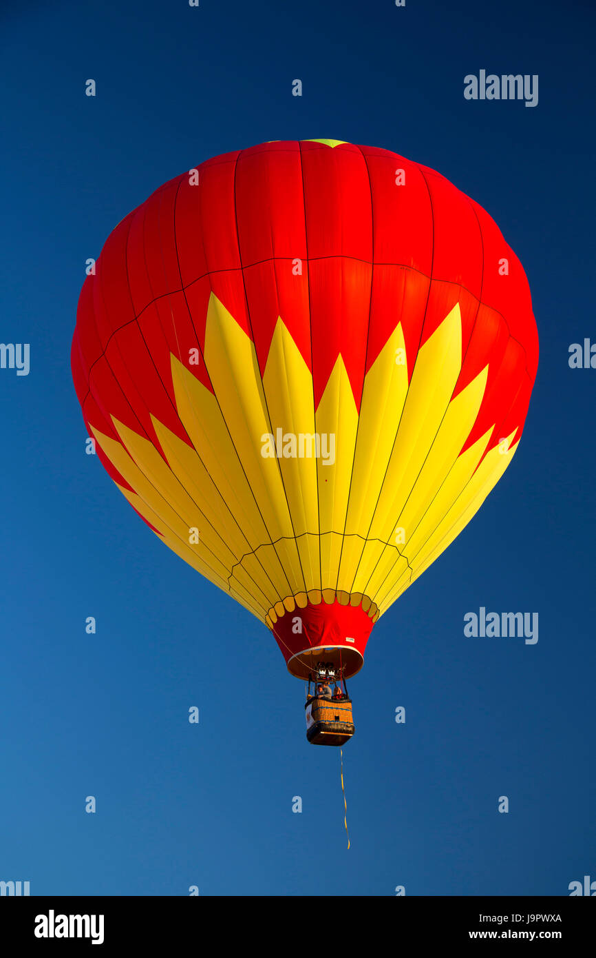 Hot air balloon, Northwest Art and Air Festival, Timber Linn Park