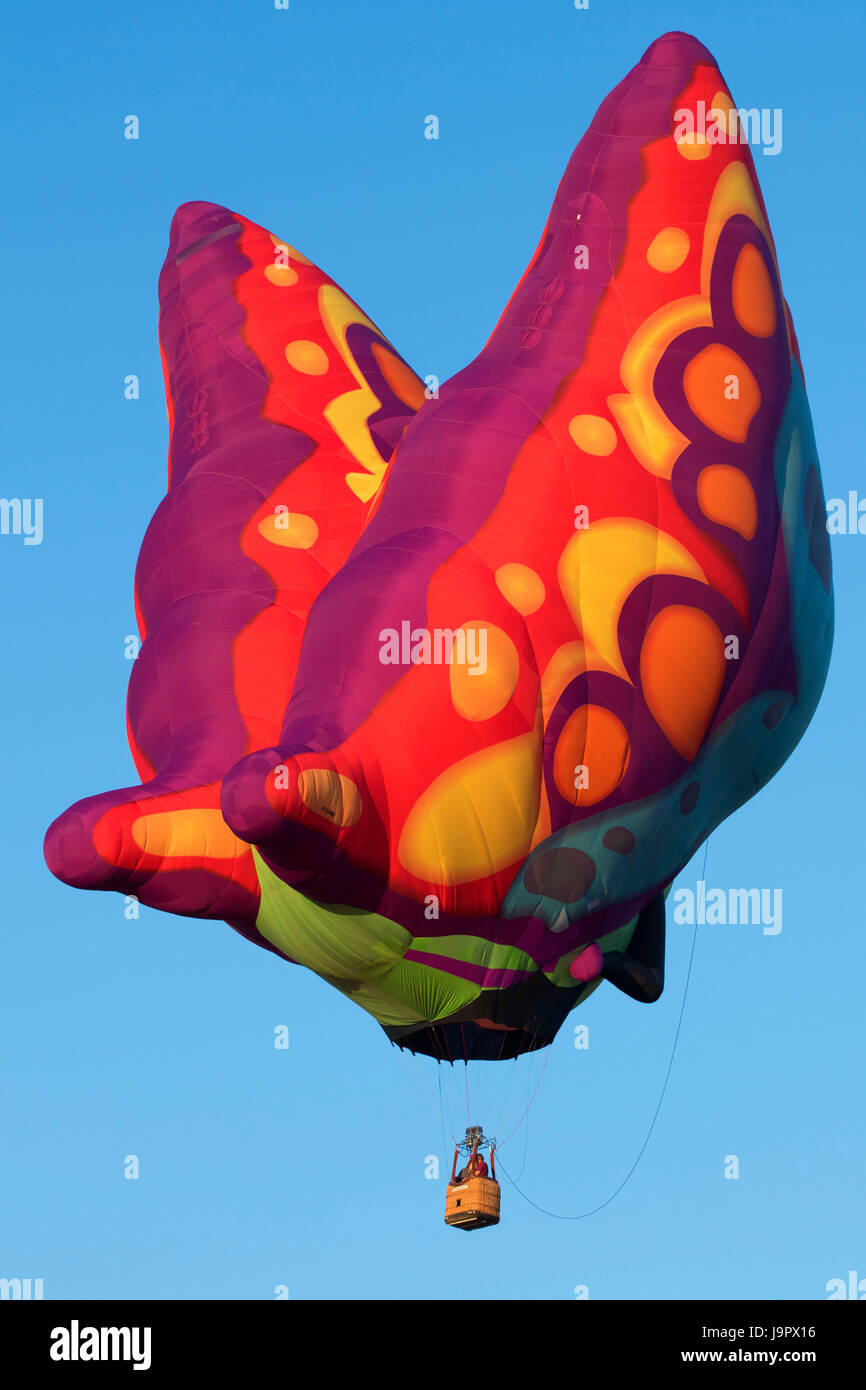 Hot air balloon, Northwest Art and Air Festival, Timber Linn Park