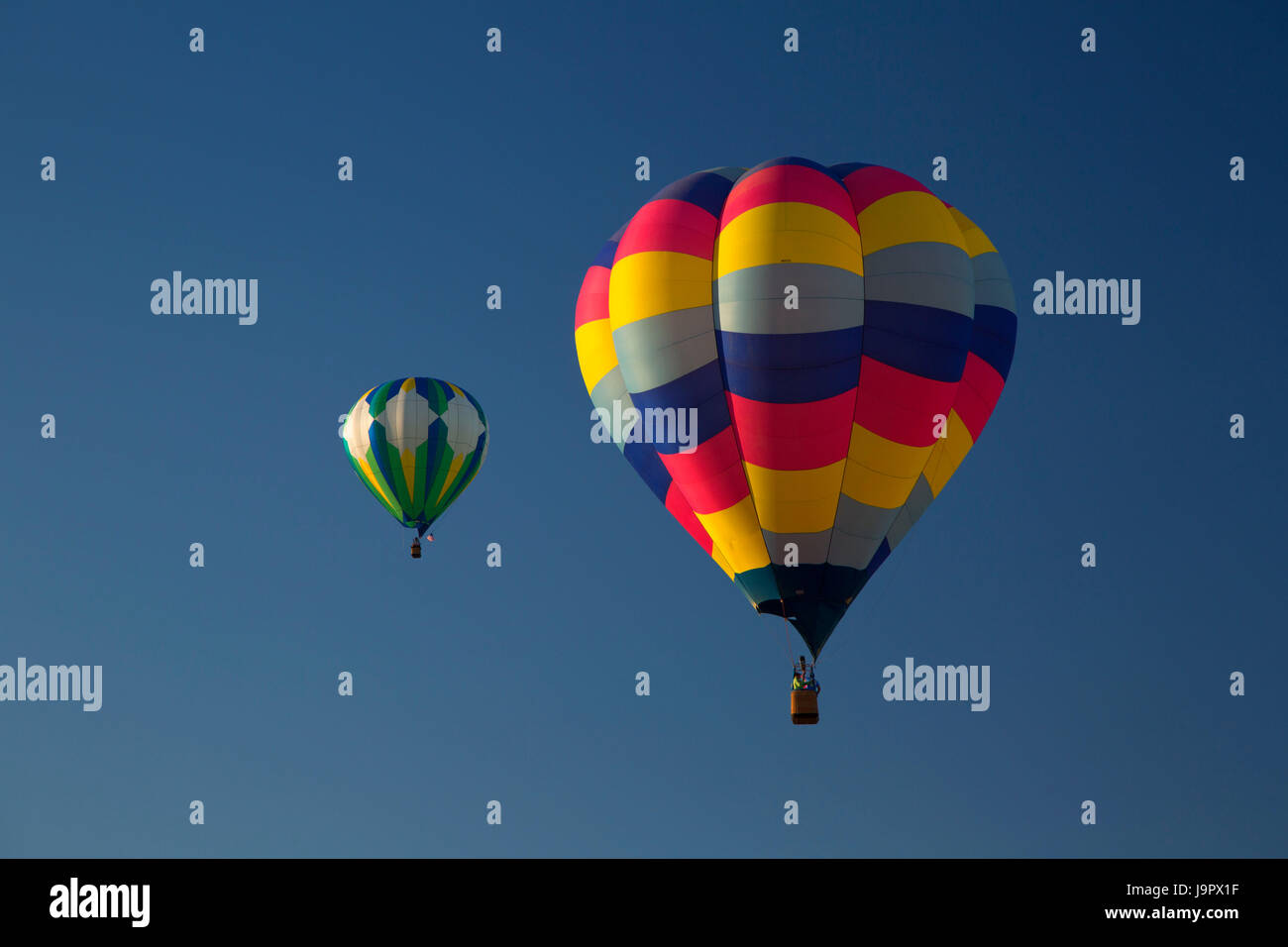Hot air balloon, Northwest Art and Air Festival, Timber Linn Park