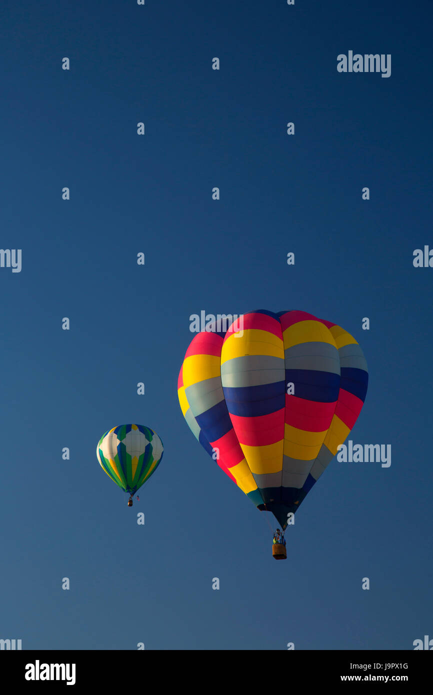 Hot air balloon, Northwest Art and Air Festival, Timber Linn Park