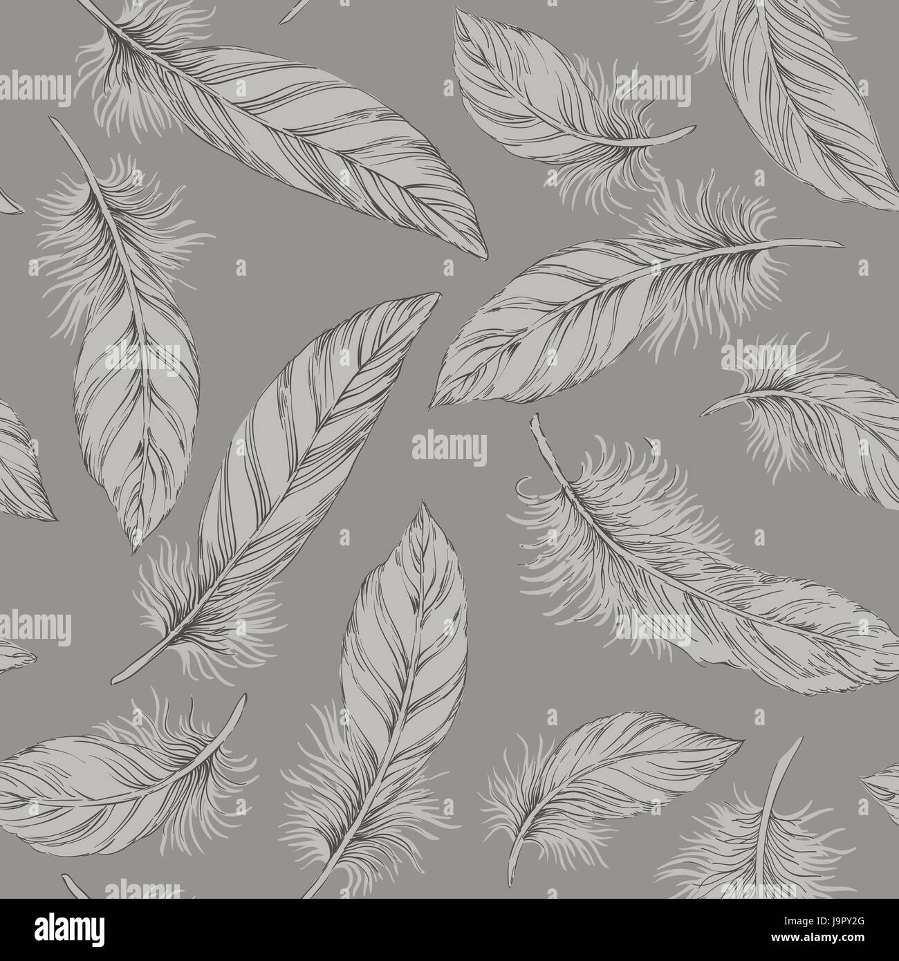 Seamless grey feather pattern Stock Photo