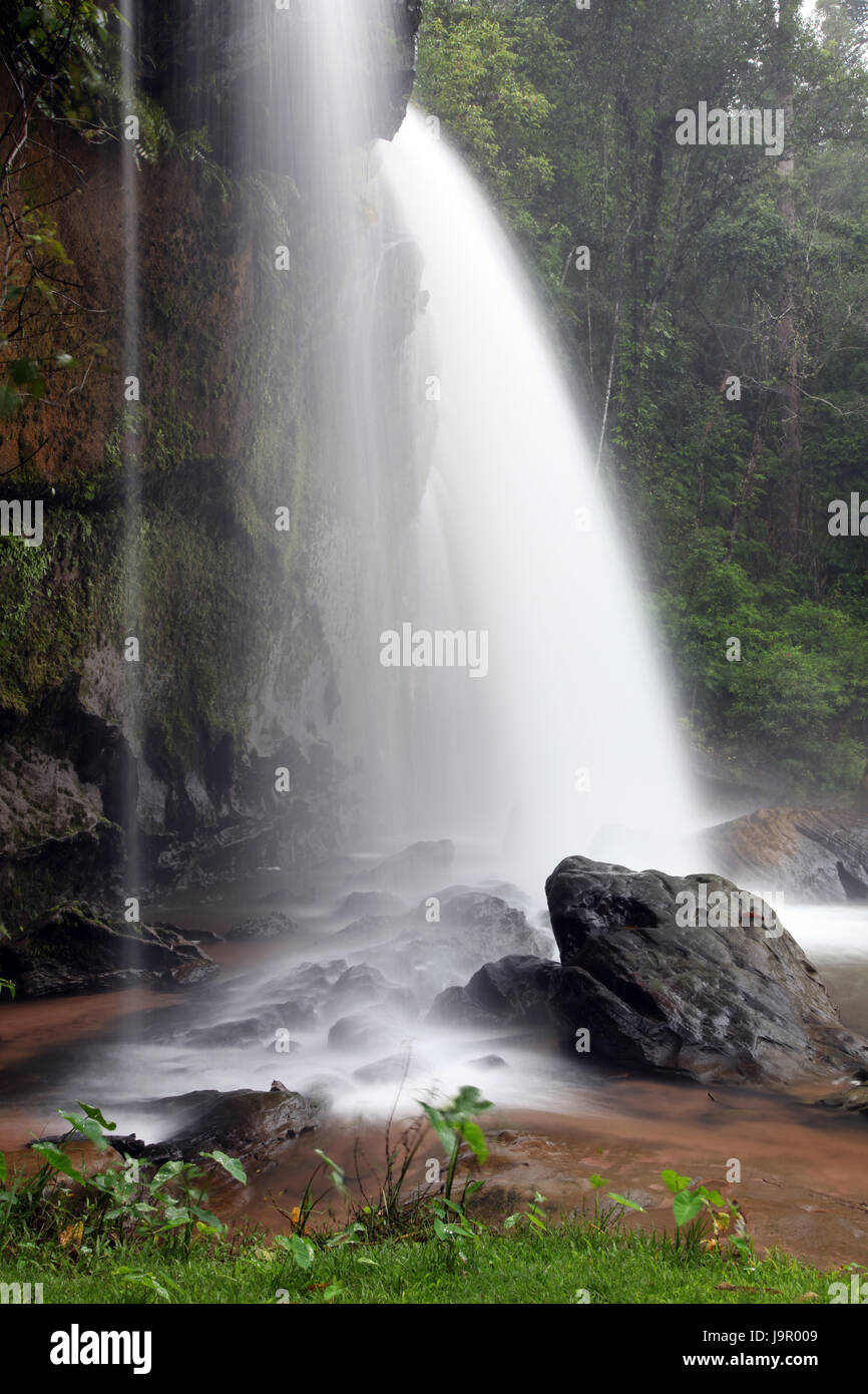 Waterfall Climate waterfall, tropical, climate, creek, forest, water, fall, leaf, travel ...