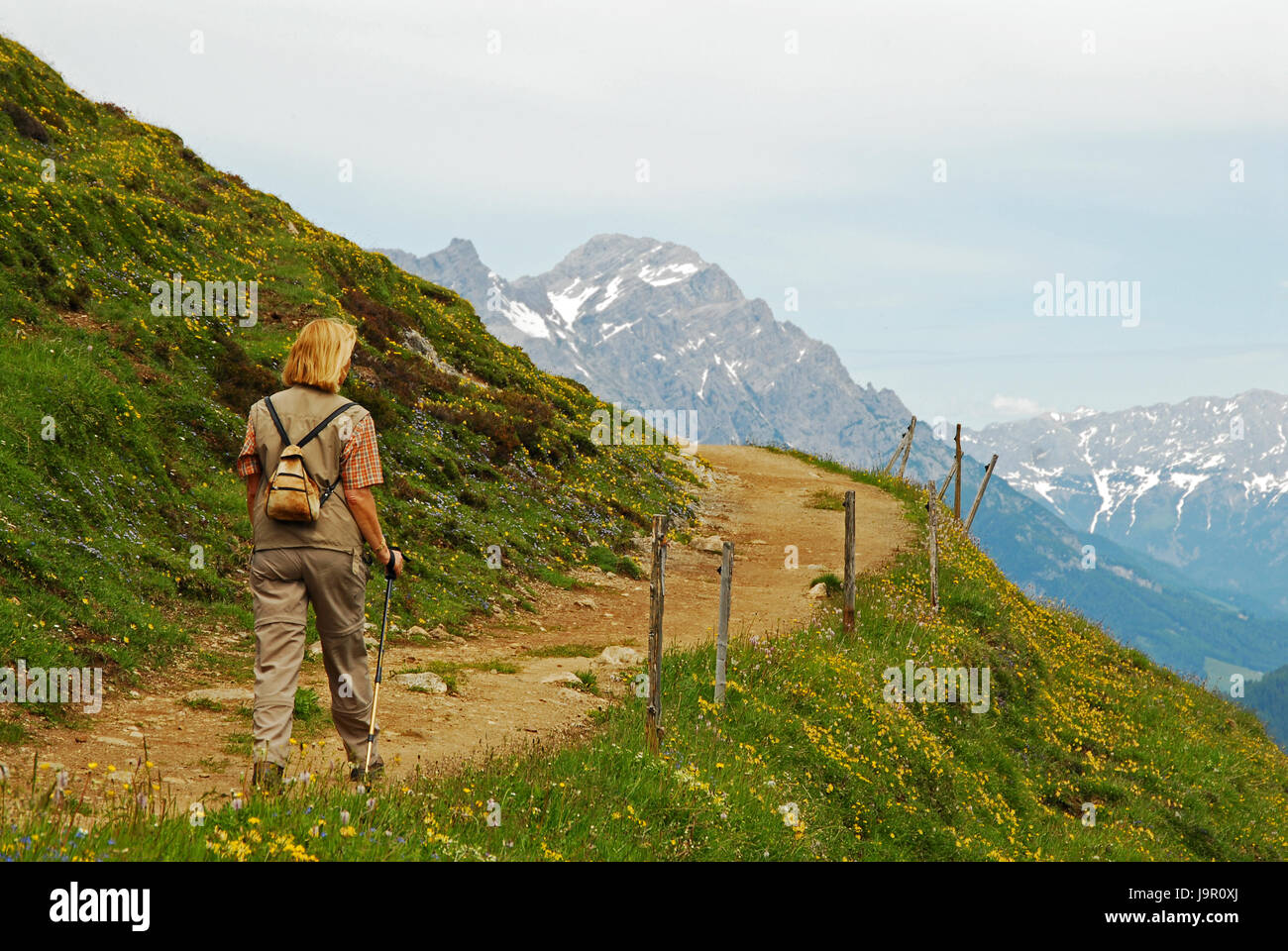 woman, mountains, hike, go hiking, ramble, solitary, hiking, wanderer, path, Stock Photo