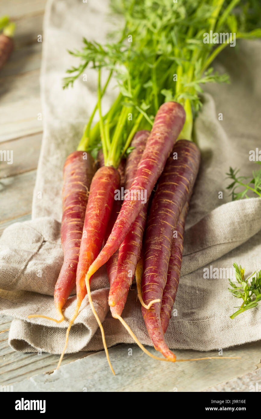 Purple carrots hires stock photography and images Alamy