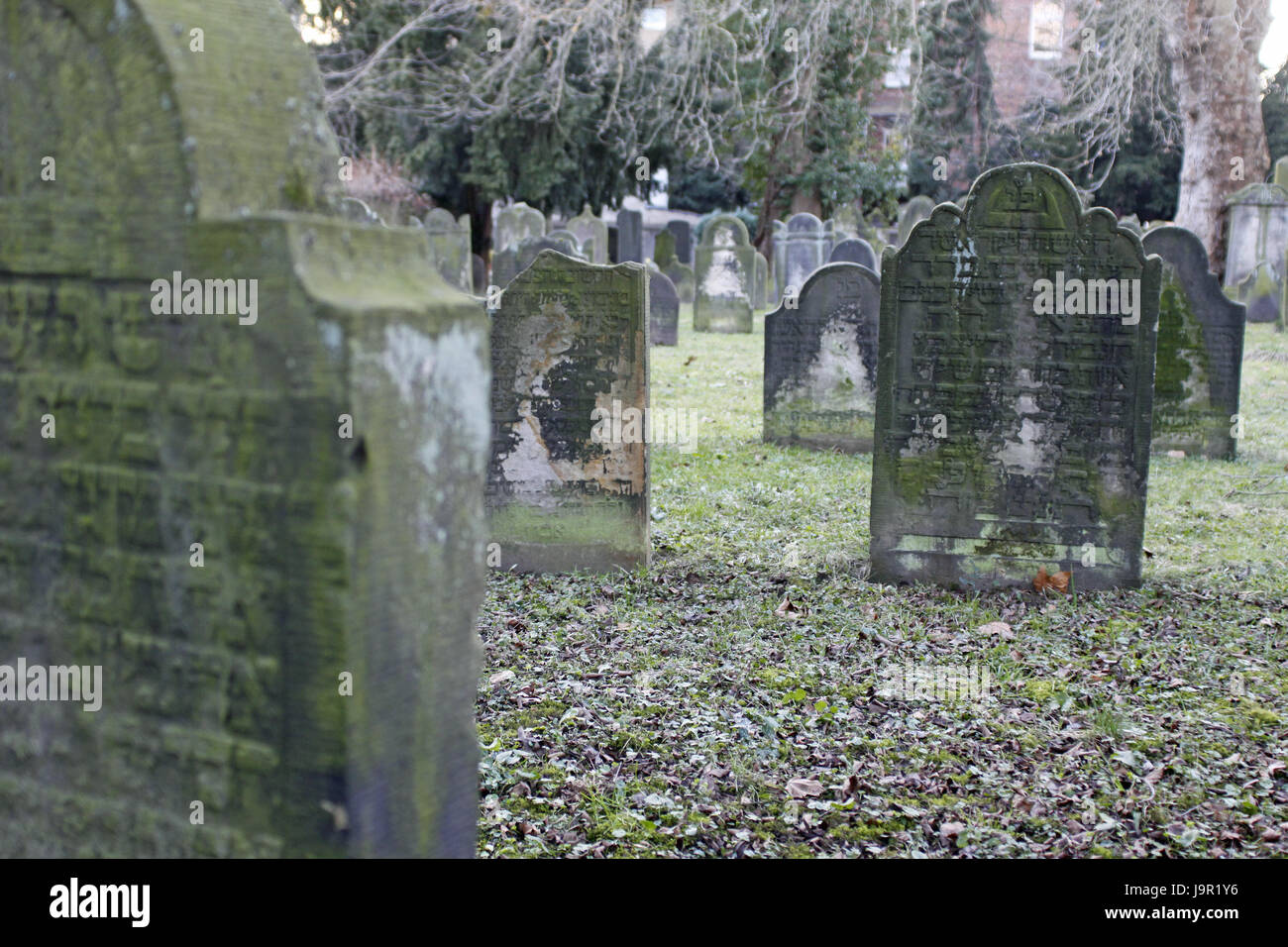 jewish, grave, gravestone, tombstone, jewishness, judaism, graves, tombstones, Stock Photo