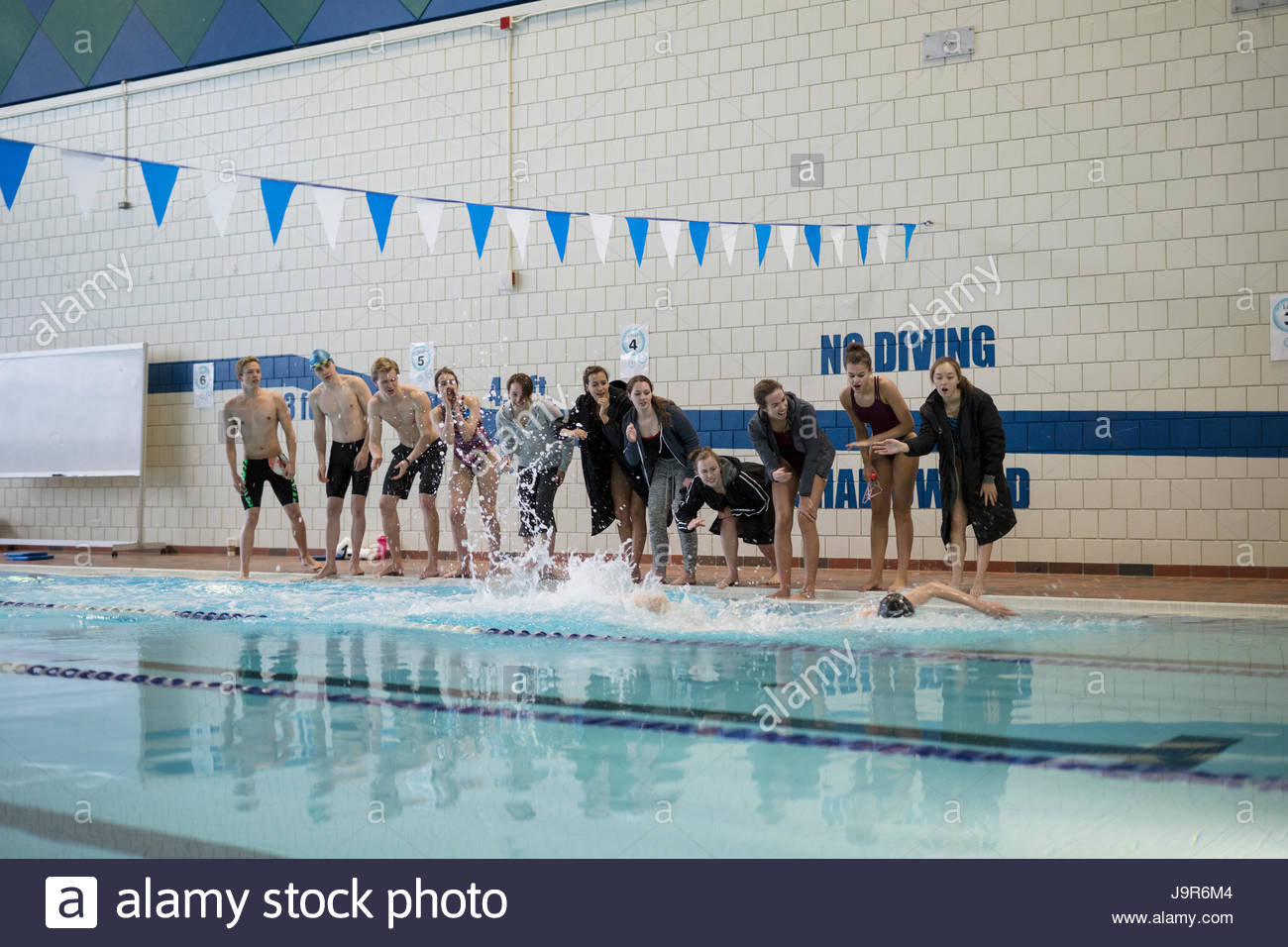 Swim team cheering teammate swimming in swimming pool at competitive swim meet Stock Photo