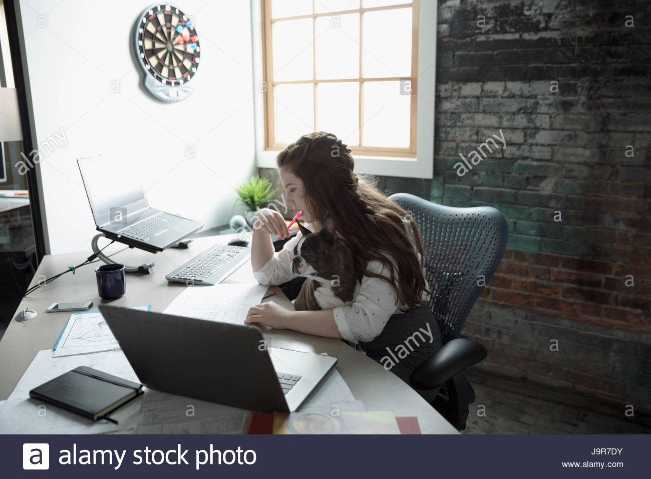Creative businesswoman working with dog in lap at desk in office Stock Photo