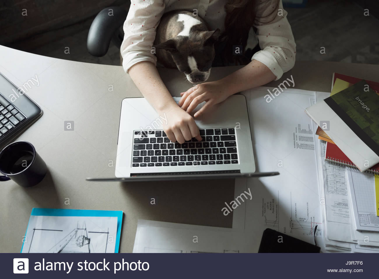 Creative businesswoman working at laptop with dog in lap Stock Photo