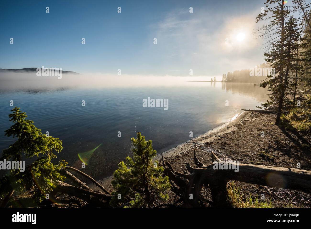 A view of Yellowstone Lake at sunrise. Yellowstone National Park. Stock Photo