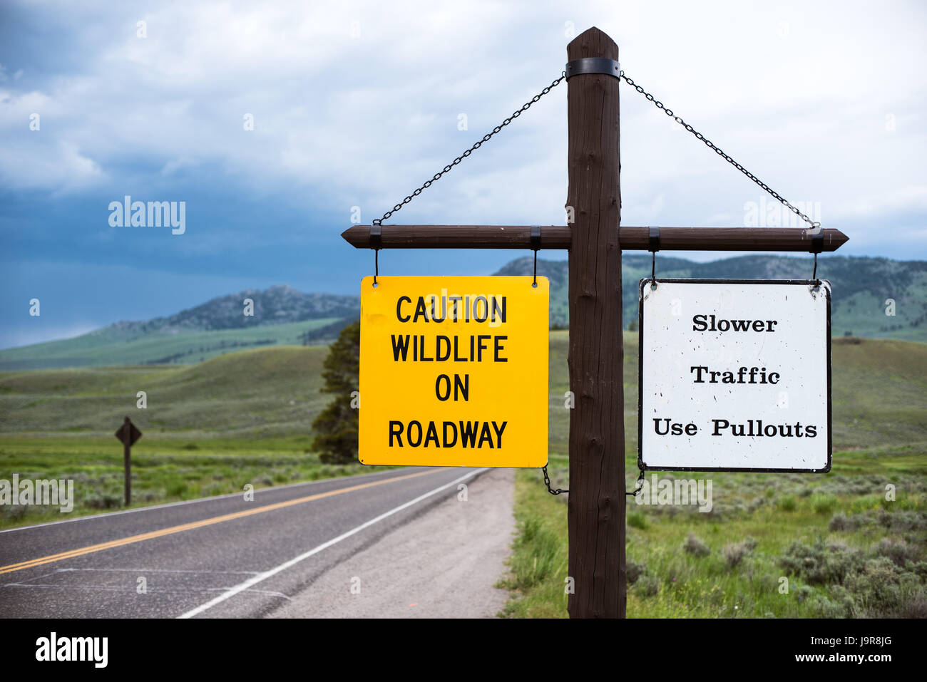 A sign warns of wildlife on the roadway. Yellowstone National Park. Stock Photo