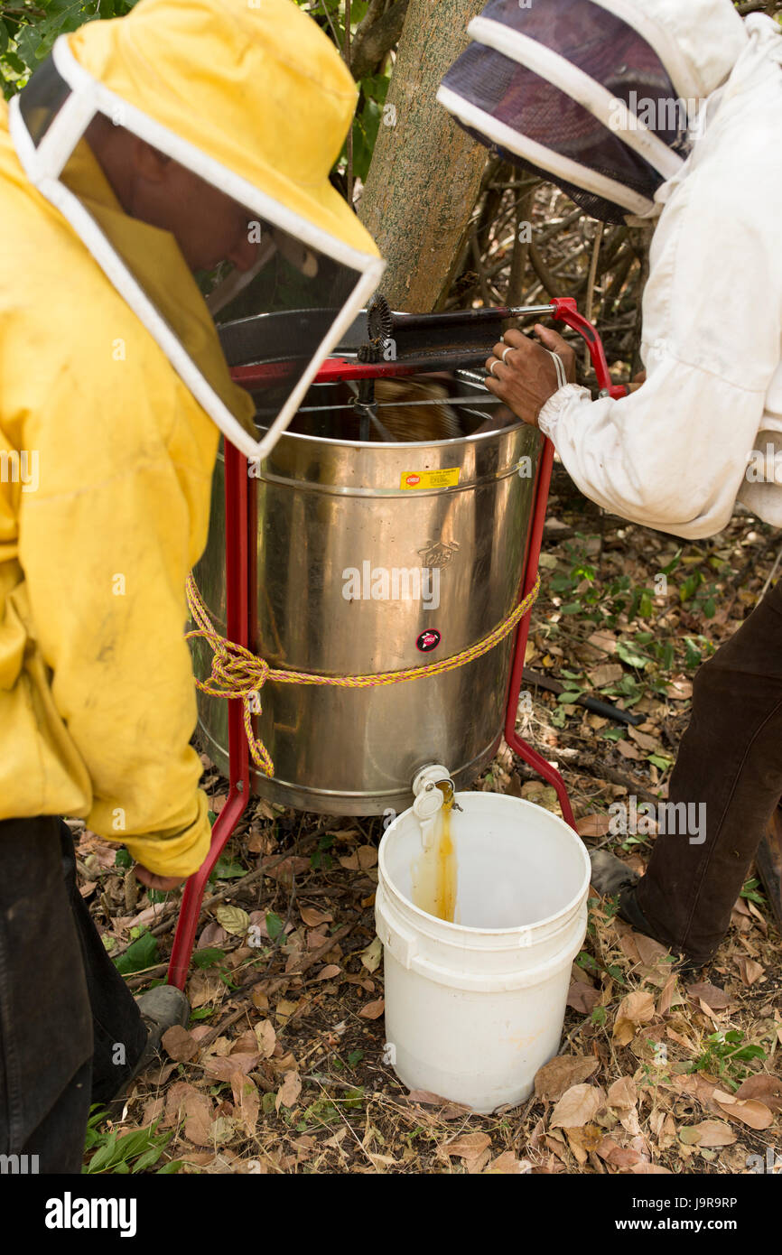 A manual extractor is used to extract honey from honey frames by farmers in Léon Department, Nicaragua. Stock Photo