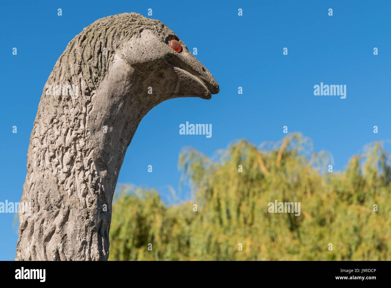 Queenstown, New Zealand - March 15, 2017: closeup of head of the extinct flightless bird Moa against blue sky and some green trees in background. Brow Stock Photo