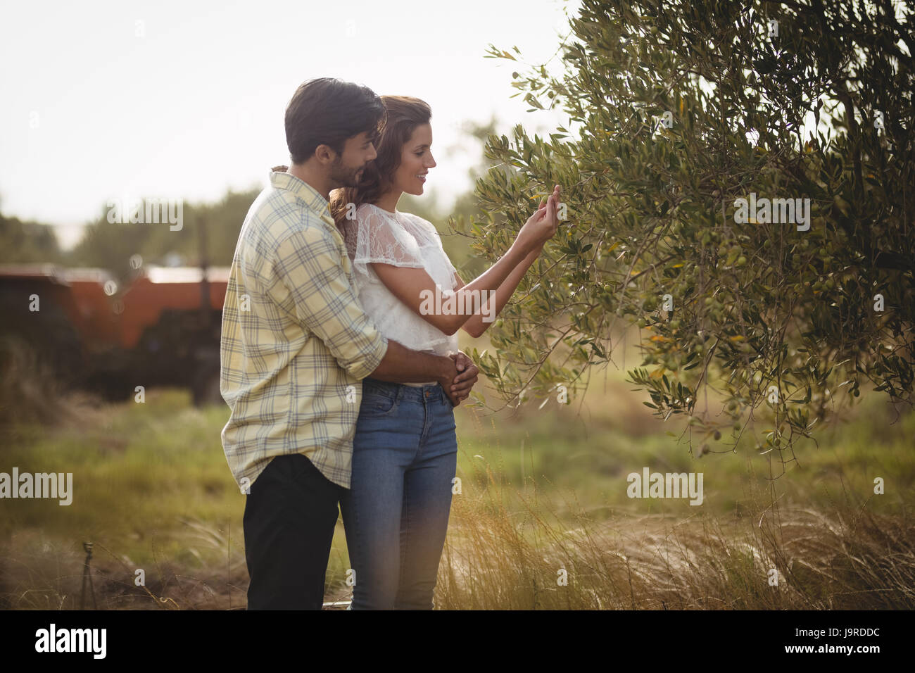 Romantic young couple standing by tree at farm Stock Photo - Alamy