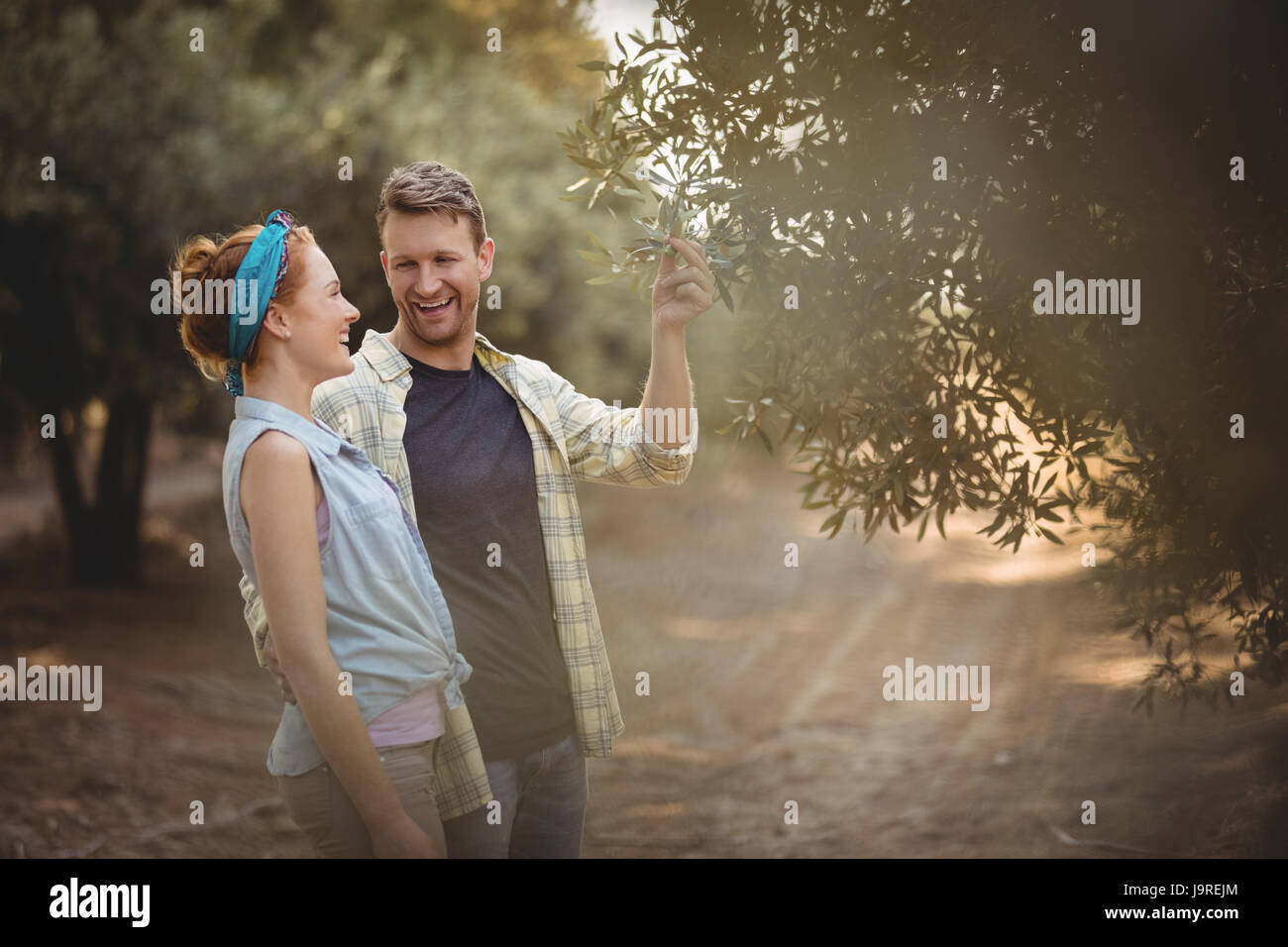 Cheerful young couple standing by olive tree at farm Stock Photo - Alamy
