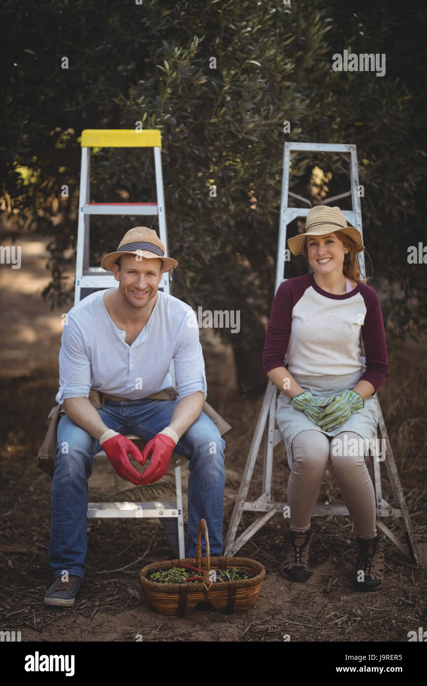 Portrait of smiling young couple sitting on ladders at olive farm Stock ...