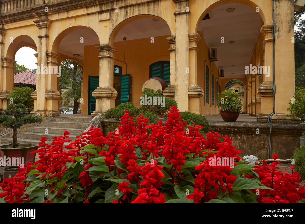 Flowers at Imperial Citadel of Thang Long (UNESCO World Heritage Site), Hanoi, Vietnam Stock Photo