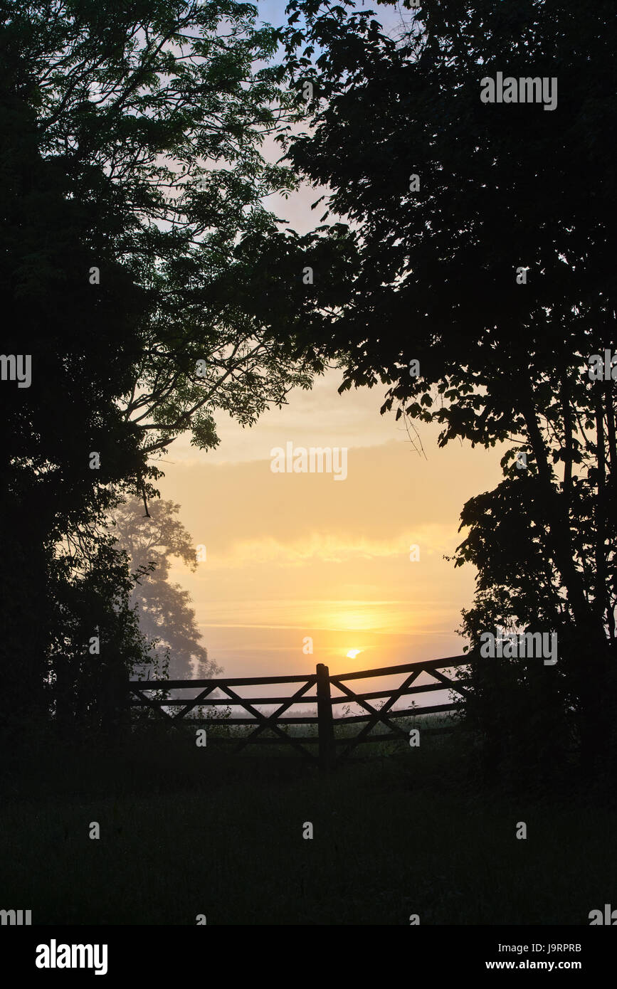 Silhouette farm gates at sunrise on a misty spring morning in the english countryside. Cotswolds, Oxfordshire, England Stock Photo