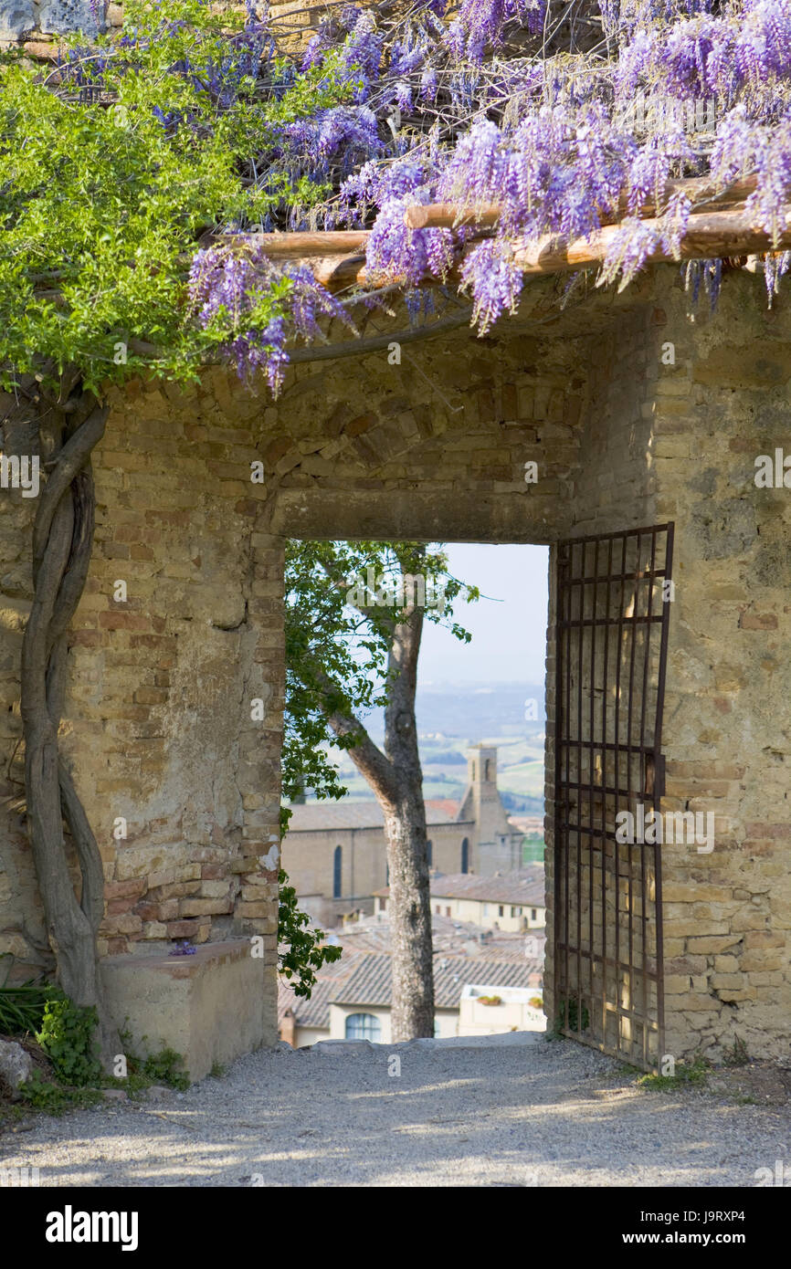Italy,Tuscany,San Gimignano,defensive wall,door,blue rain,view Old Town,Europe,town,town view,stone defensive wall,city wall,passage,gate,input,access,grid gate,openly,plants,Glyzinie,climbing shrub,tree,blossom,old,historically,architecture,UNESCO-world cultural heritage,nobody,view,,view,BT, Stock Photo