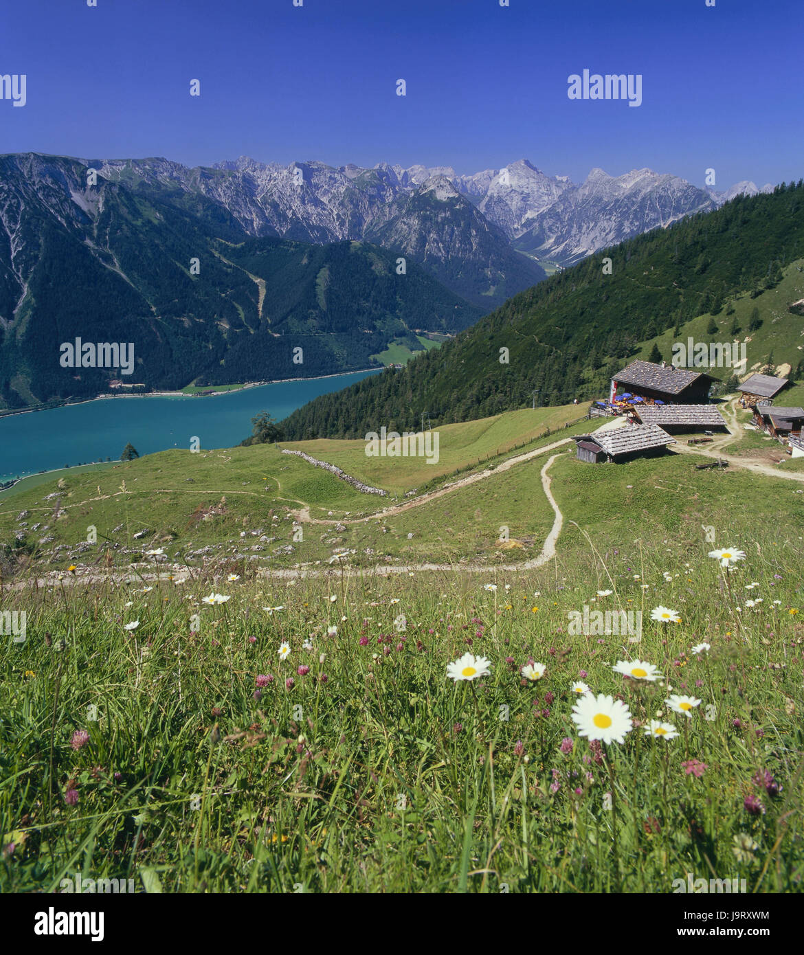 Jenbach Austria,Tyrol,Maurach in the Achensee,Dalfazalm,Achensee ...