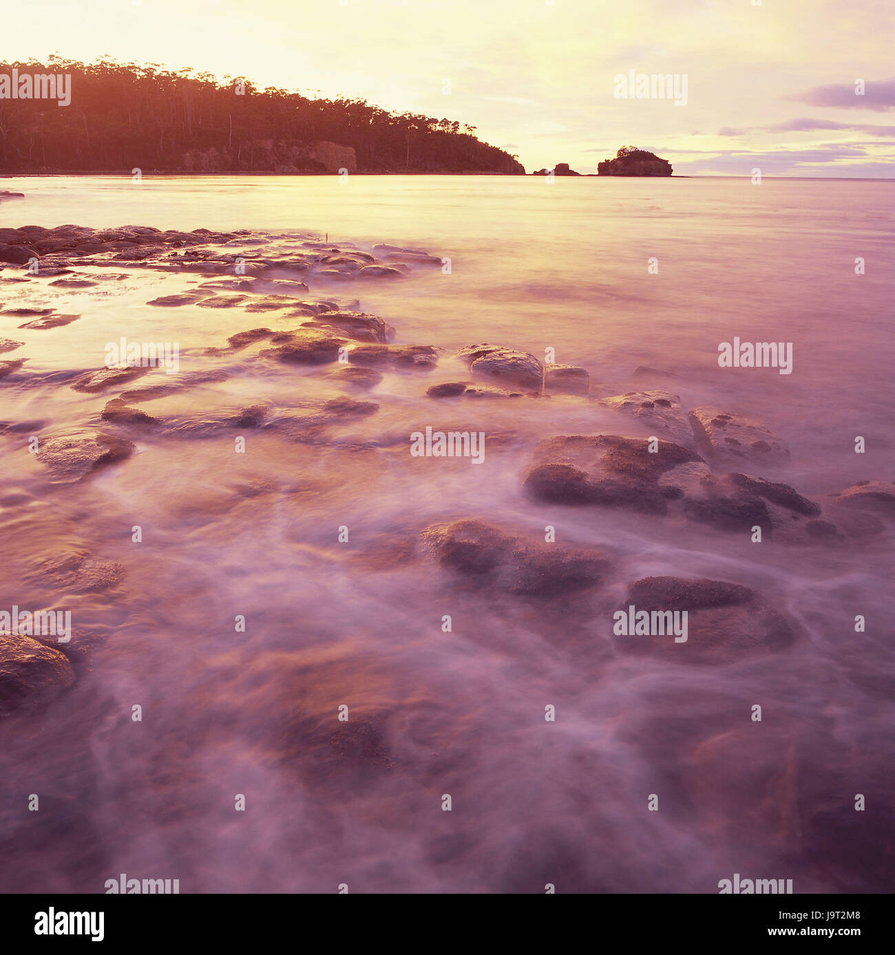 Australia,Tasmania,Tesselated Pavement State pool,sea,rock,morning  light,view,motion blur,conception,deserted,surf,bay,water,rock,tides,heavens,coast,scenery,nature,spectacle  of nature,place of interest,stones,tourist attraction,water,waves,daybreak  ..., image size:1300x1388