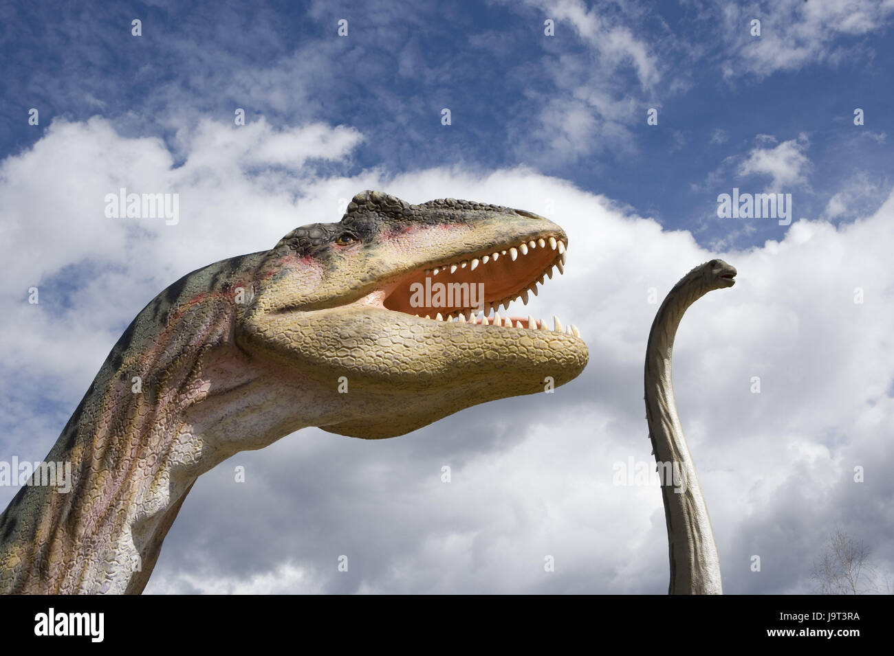 Dinosaur,page portrait,cloudy sky,animals,animal world,old animals,primeval times,saurians,lifelike,dangerously,menacingly,Tyrannosaurus rex,prehistorically,extinct,saurian models,models,simulations,replicas,reconstruction,plastically,natural size,brontosaurus,Apatosaurus,size,neck,head,two,herbivore,carnivore,sky,clouds,nobody,outside, Stock Photo