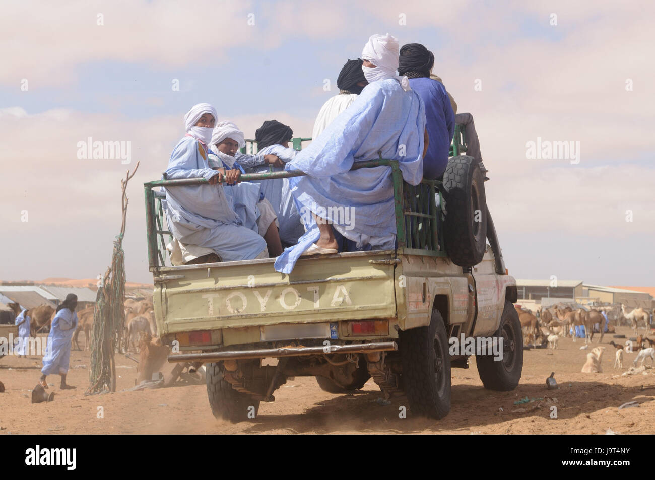 Mauritania,Nouakchott,camel market,bedouin,pickup truck,Africa,West Africa,town,capital,economy,trade,market,camel purchase,sales,men,people,locals,Darrah,Boubou,turbans,animal trade,traditionally,vehicle, Stock Photo
