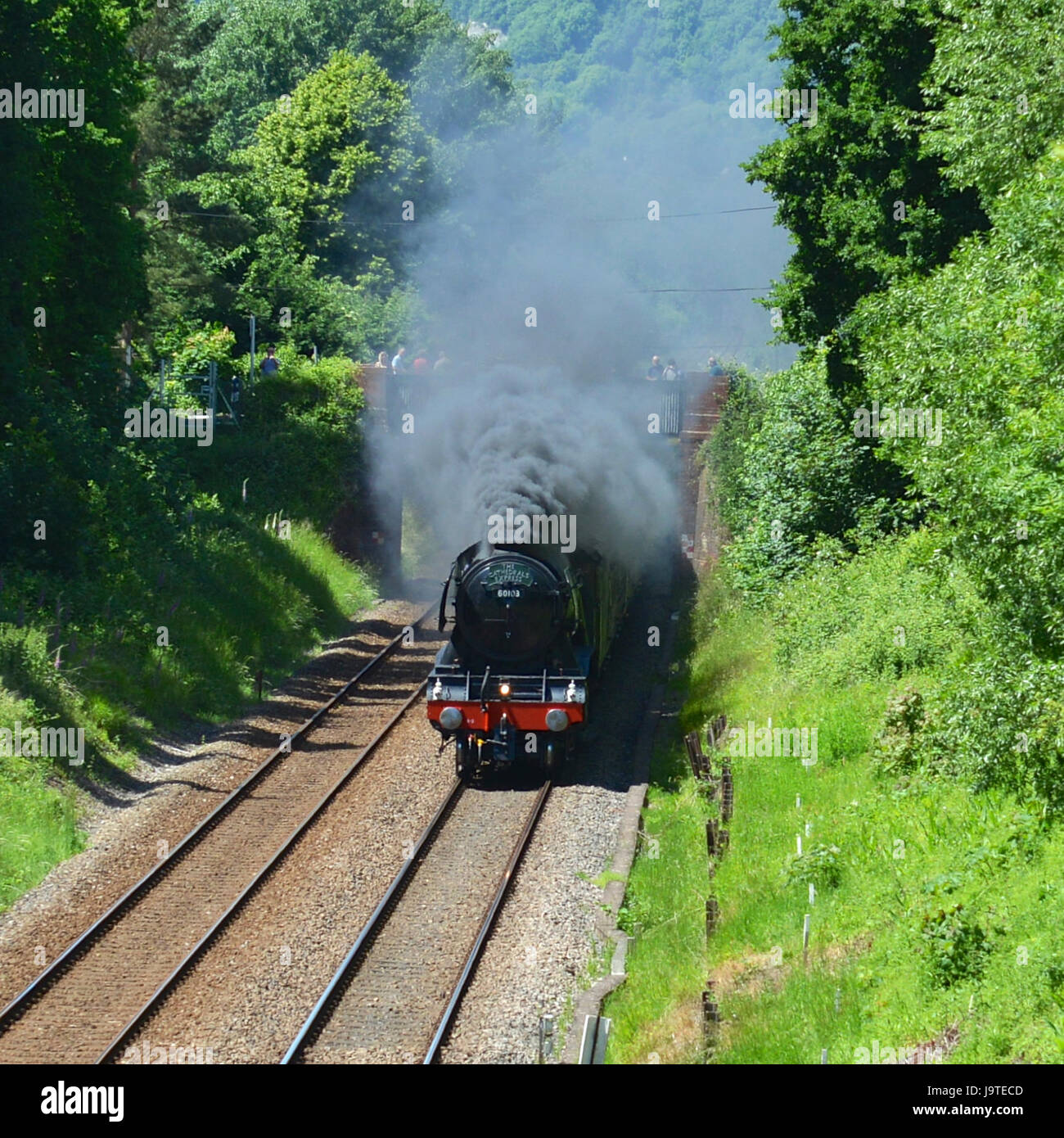 Reigate, Surrey, UK. 3rd June, 2017. Flying Scotsman 60103 Cathedrals Express Steam Locomotive hauling pullman coaches speeds through Reigate in Surrey. 1304hrs Saturday 3rd June 2017. Photo ©Lindsay Constable / Alamy Live News Stock Photo