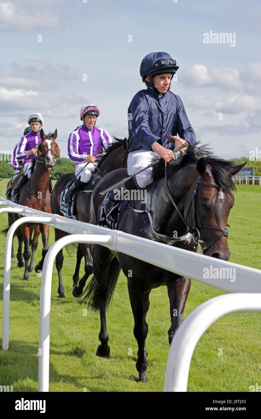 On eagles wings hires stock photography and images Alamy