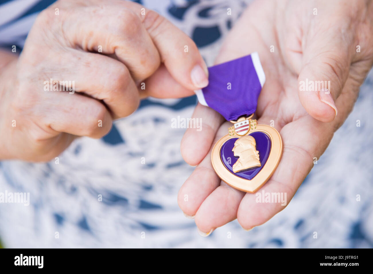 Senior Woman Holding The Military Purple Heart Medal In Her Hands. Stock Photo
