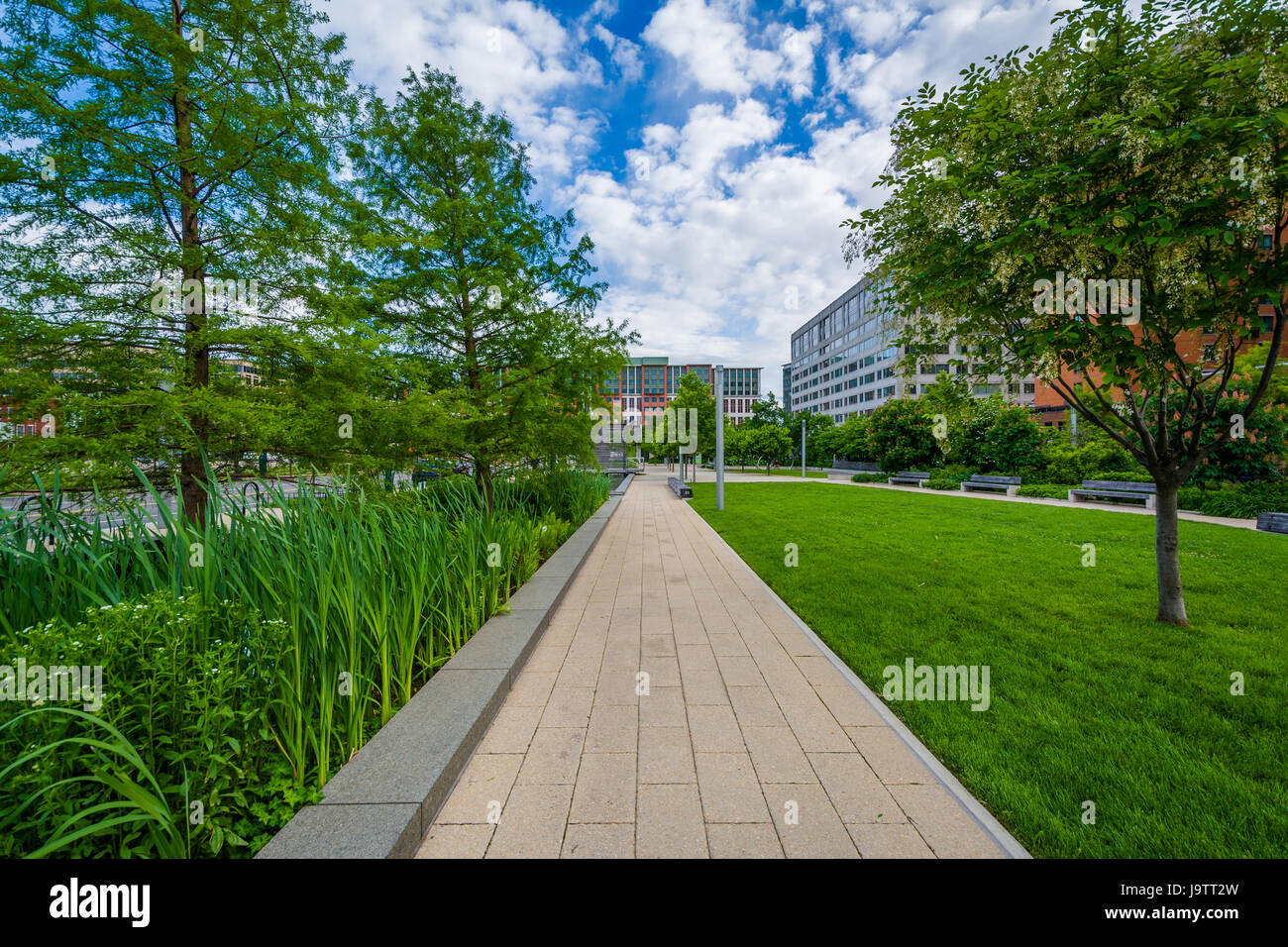 Gardens at Canal Park in the Navy Yard neighborhood of Washington, DC. Stock Photo