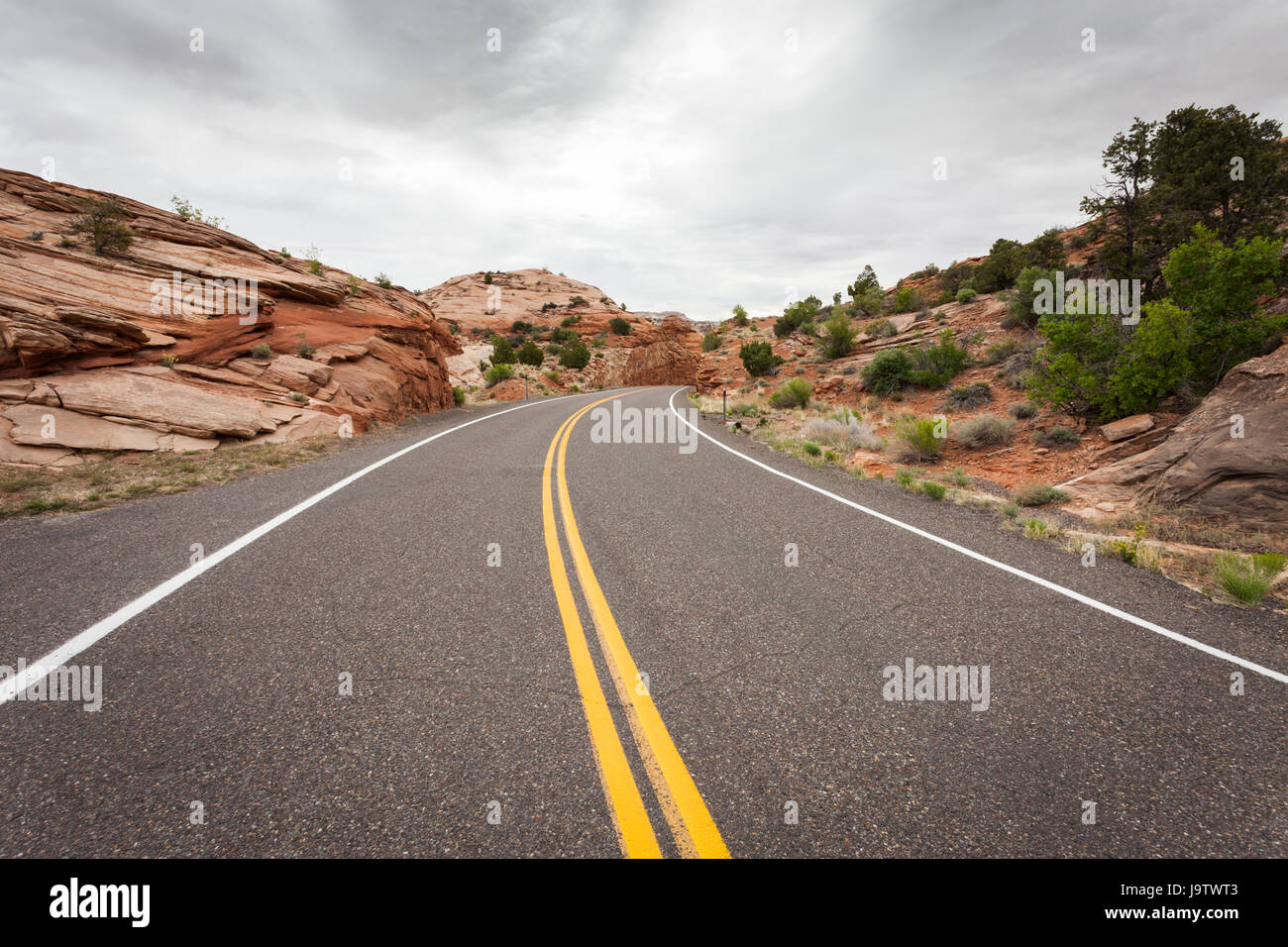 usa, centerline, road, street, usa, horizontal, asphalt, america