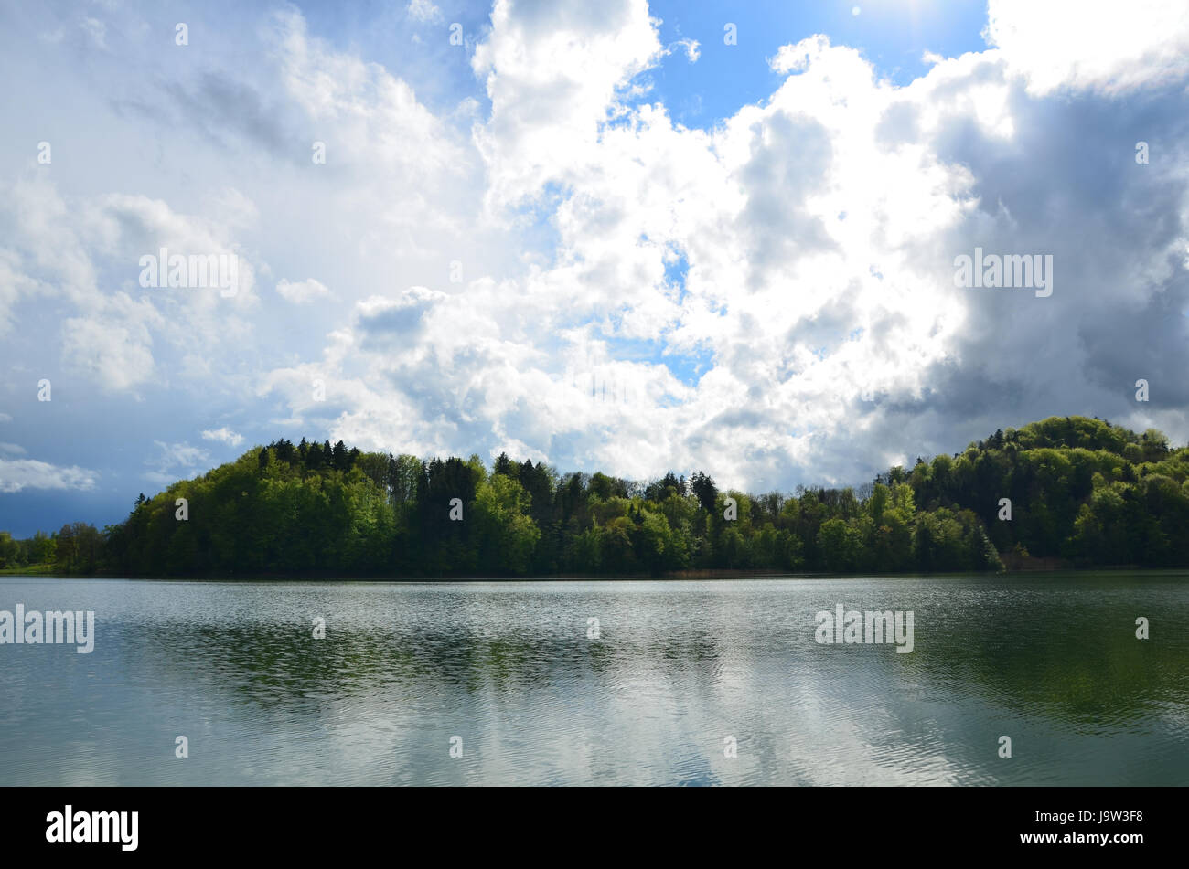 romantic, switzerland, quiet, reflections, water, nature, blue, tree, green, Stock Photo