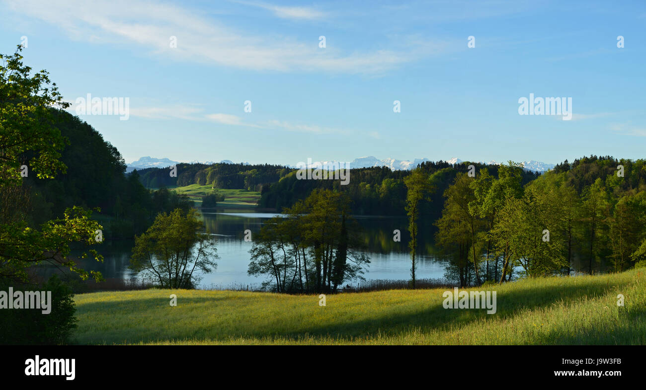 mountains, romantic, switzerland, quiet, water, nature, tomorrow, morning, Stock Photo