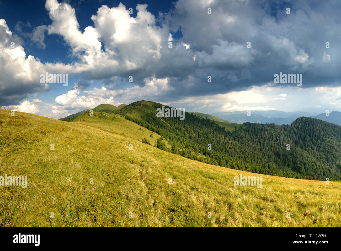 Beautiful sunny day is in mountain landscape Stock Photo