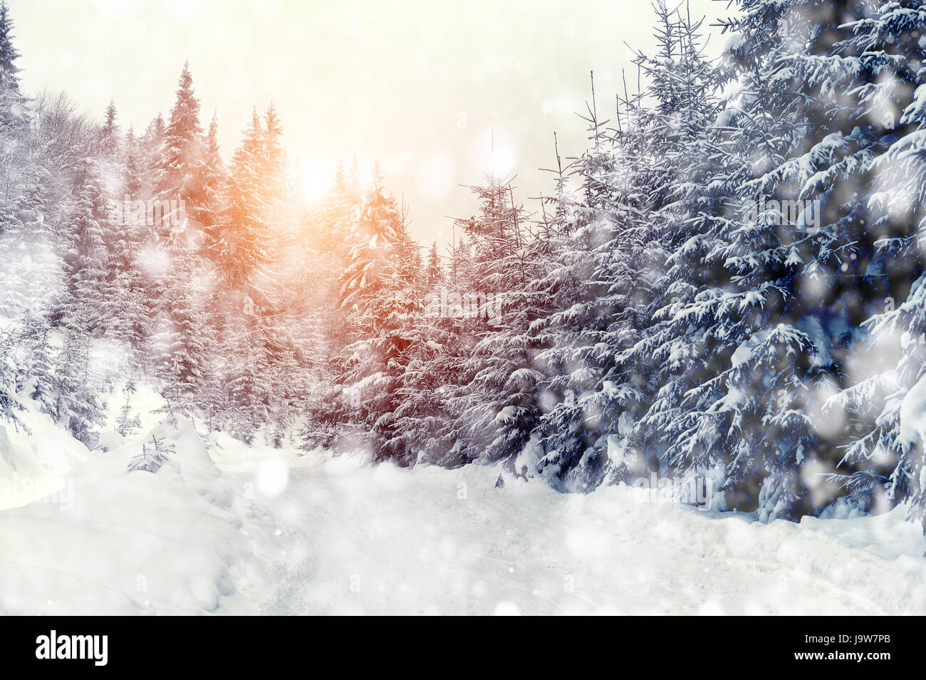 Beautiful winter landscape with snow covered trees Stock Photo - Alamy