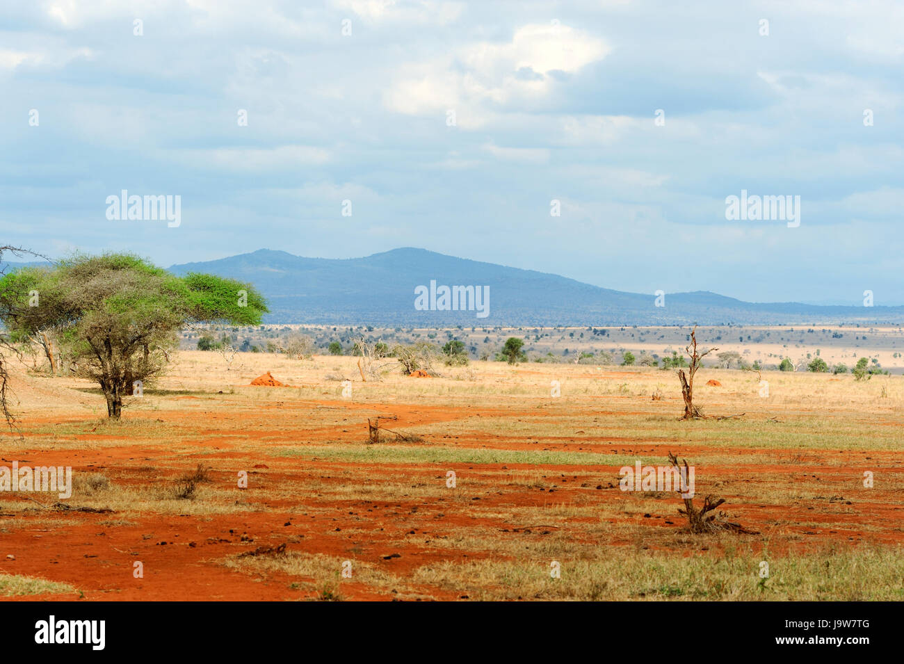 The savannah south africa hi-res stock photography and images - Alamy