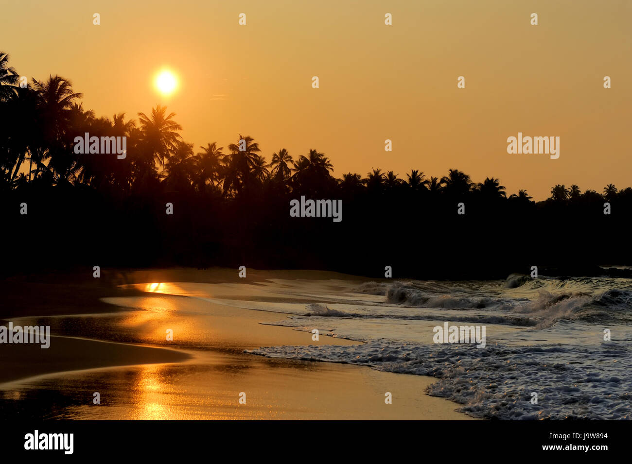 Beautiful tropical sunset with palm trees at beach Stock Photo - Alamy