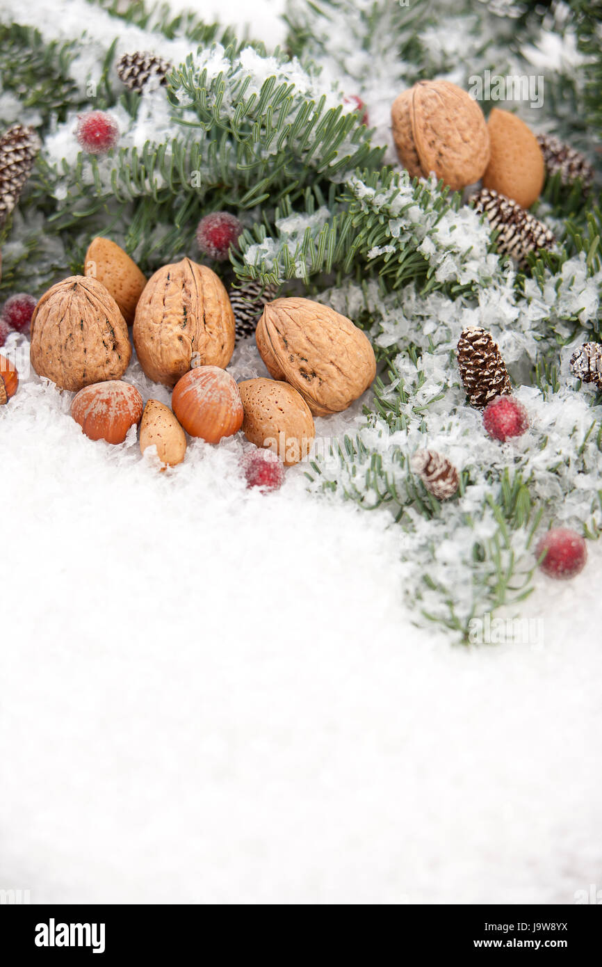 nuts, festive, biscuit, snow, christmas, xmas, x-mas, gingerbread, indoor Stock Photo