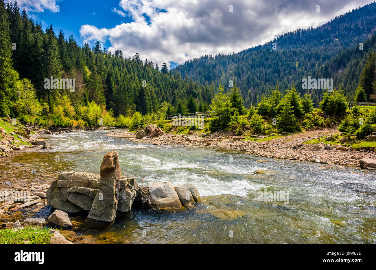 River with rocky shore flows among  green forest at the foot of the mountain. Picturesque nature of rural area in Carpathians. Serene springtime day u Stock Photo