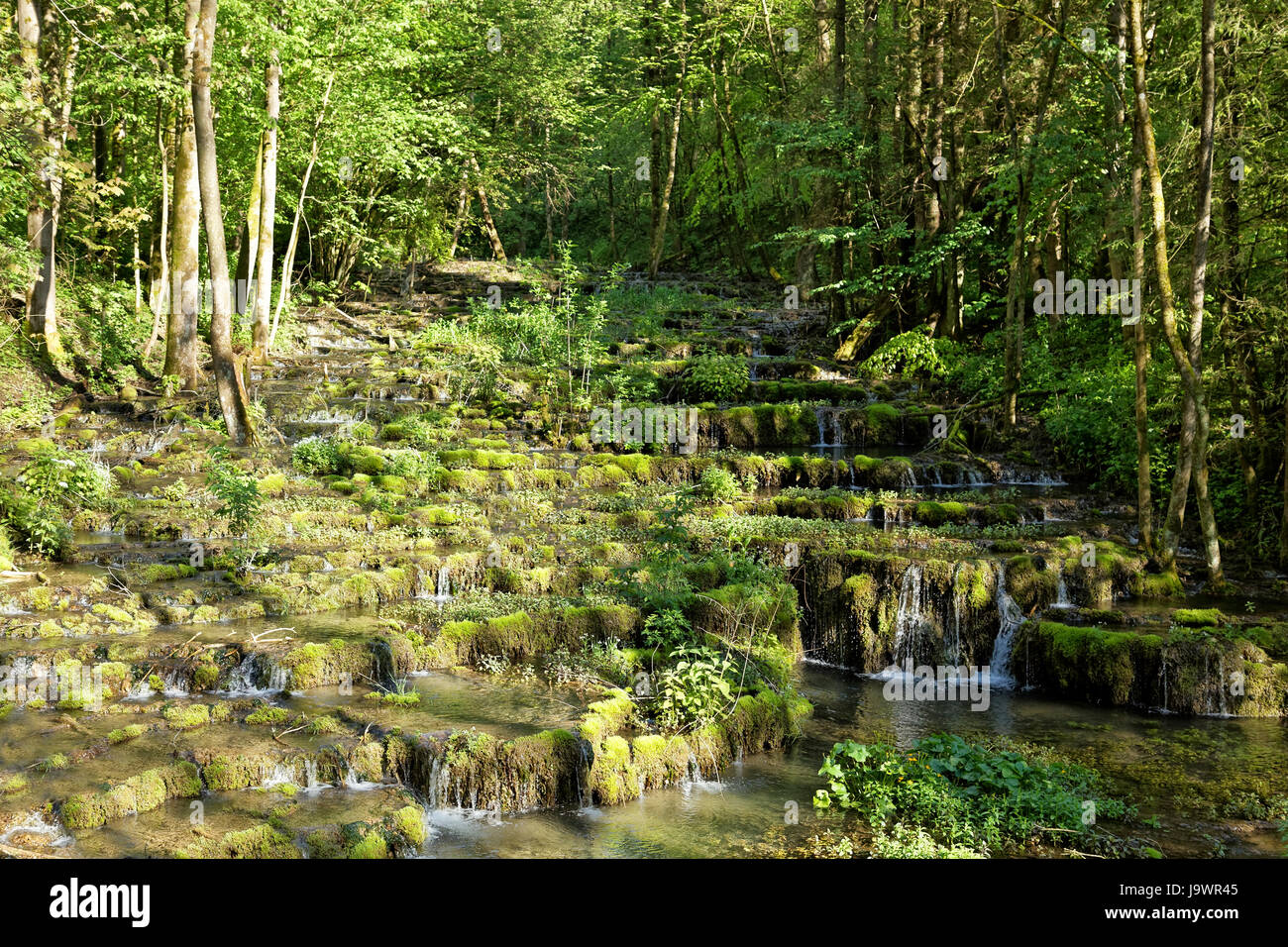 Travertine terraces, travertine creek in the natural monument