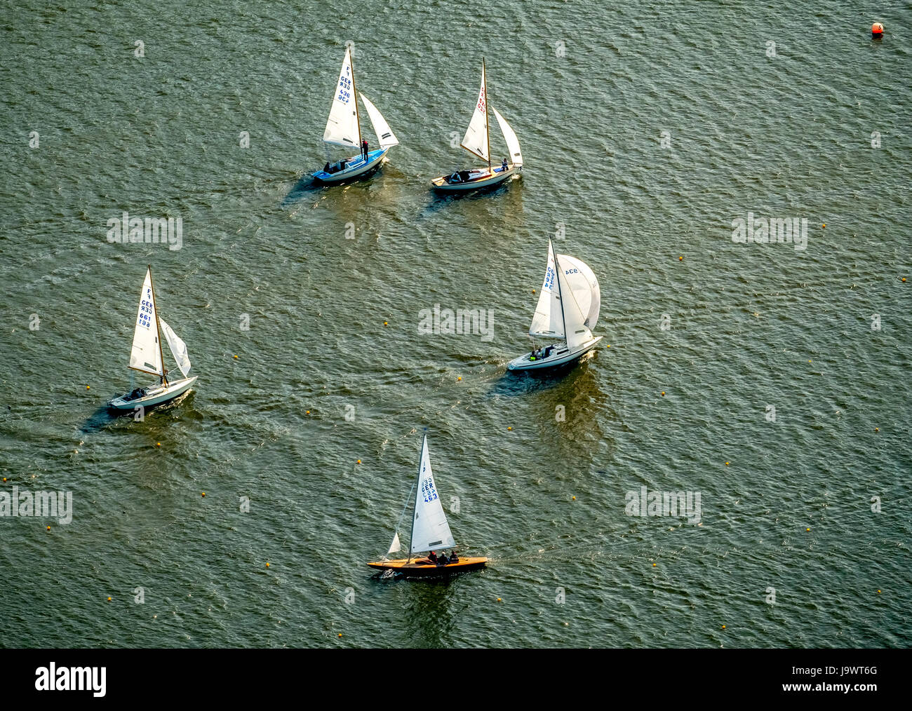 Sailing regatta on Lake Baldeney, sailing boats, Essen, Ruhr area, North Rhine-Westphalia, Germany Stock Photo