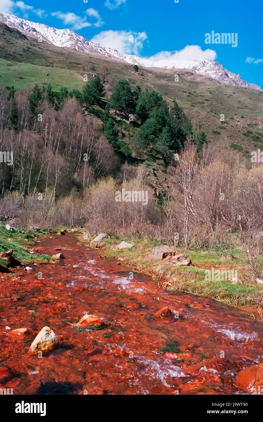 Glade seltzer. in Prielbruse,Central Caucasus,Russia Stock Photo