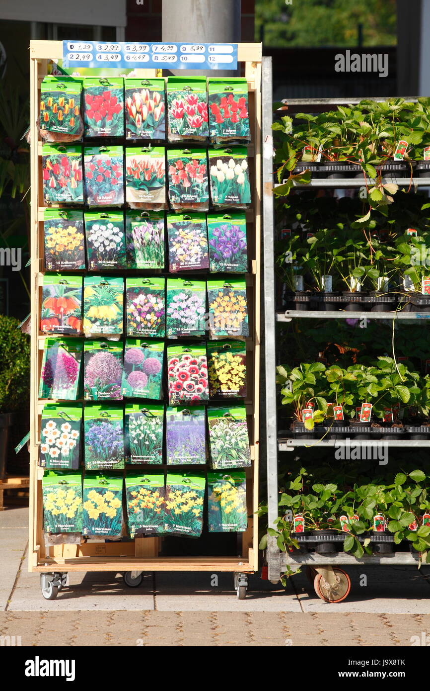 flower seeds in paper bags Stock Photo Alamy