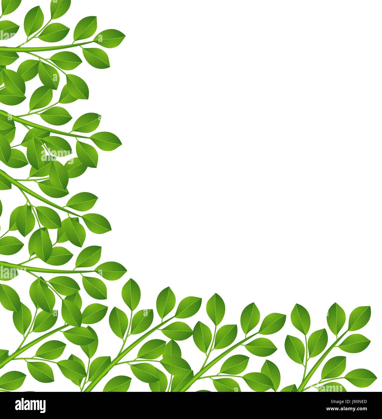 background for a design with green branches, vector illustration Stock ...